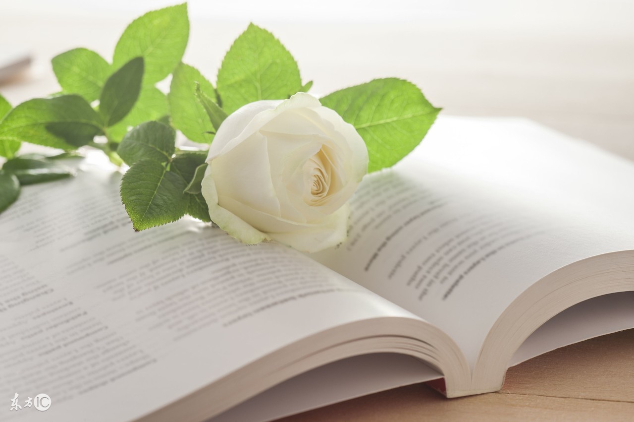 四六级必备的500个核心单词,500个基础的英语单词