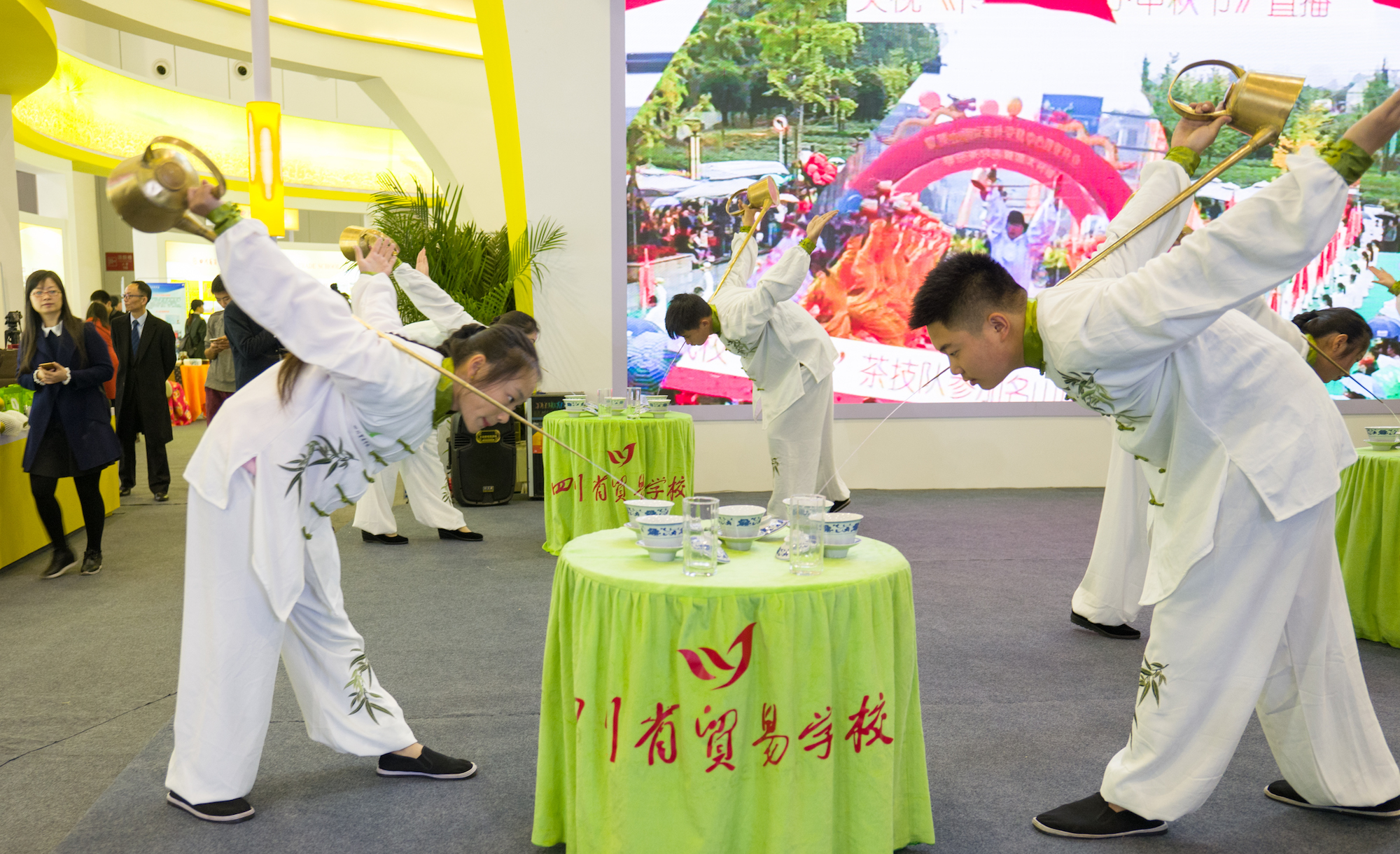 四川成都农博会茶艺表演,生茶茶艺表演