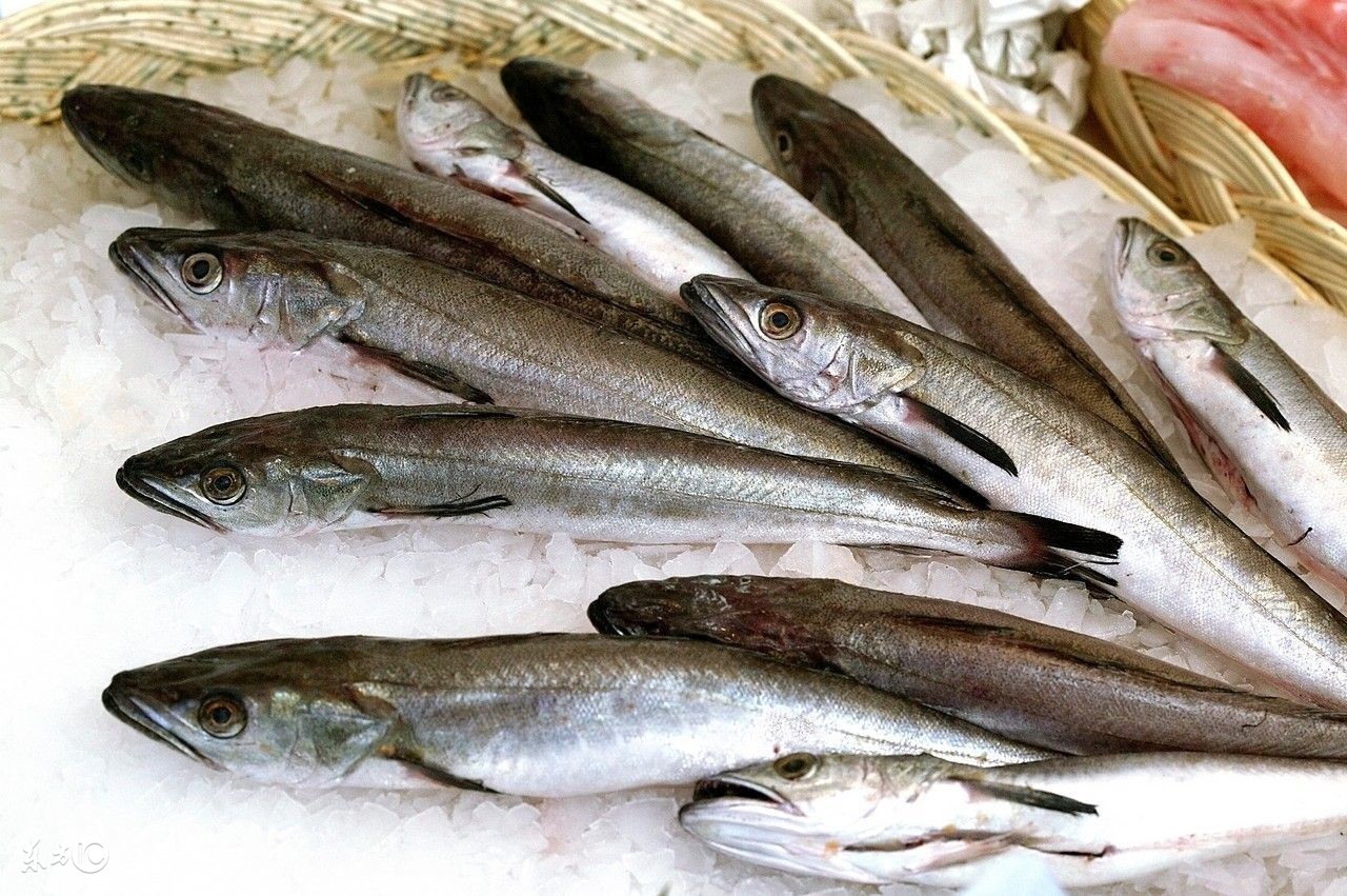 孕早期鱼吃海鱼还是河鱼好,孕妇吃海鱼好还是吃淡水鱼好