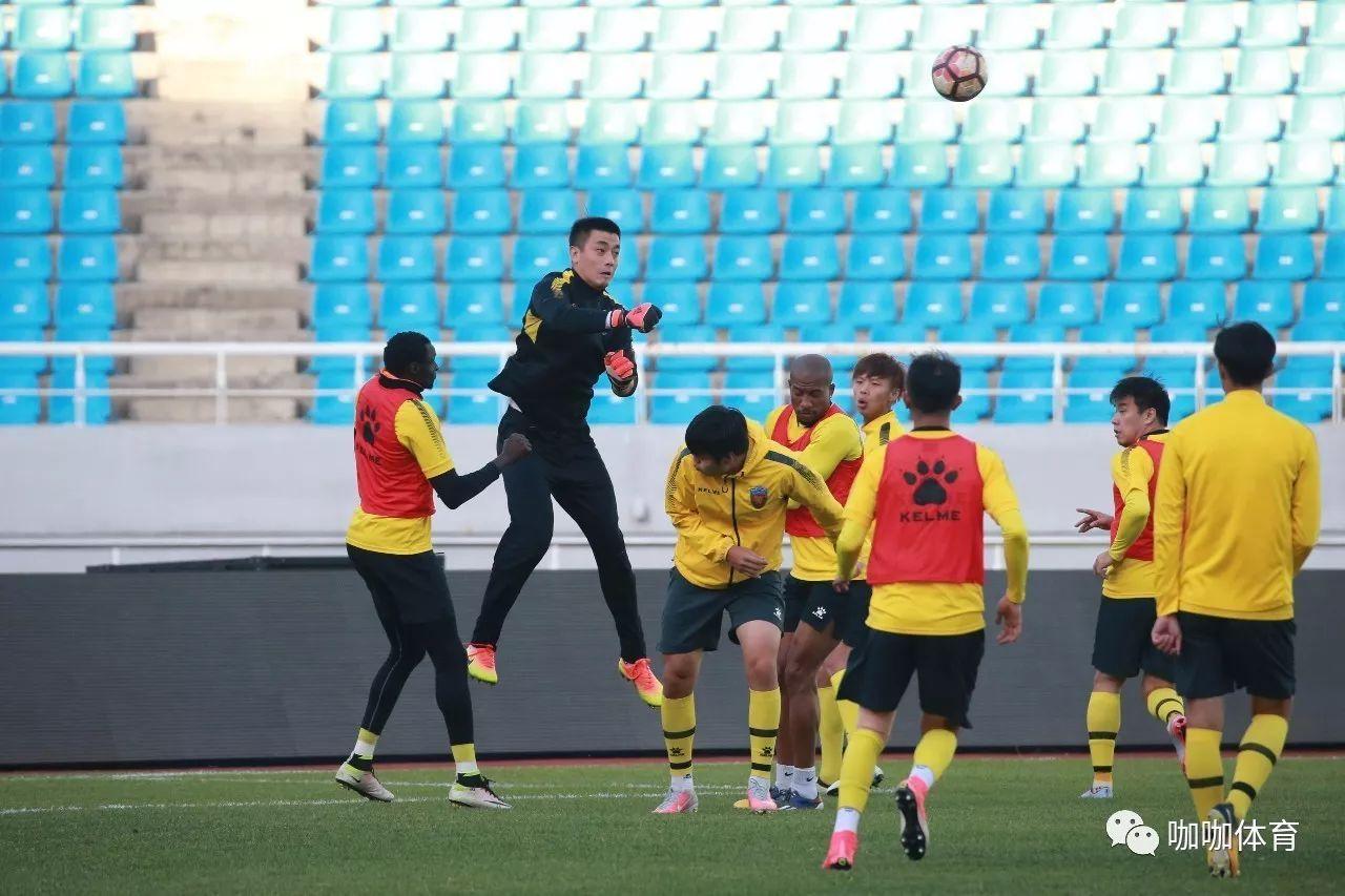 内蒙古小草,内蒙古小草讲的是什么