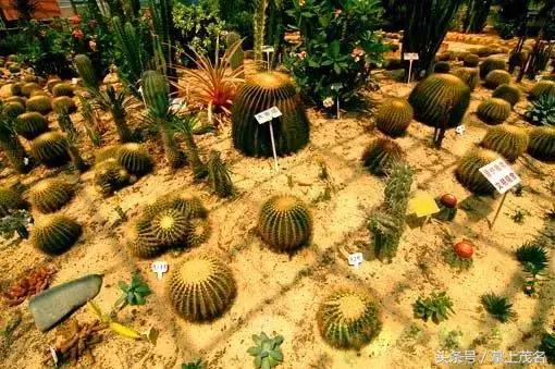 茂名最惊艳的城市,茂名城市美景