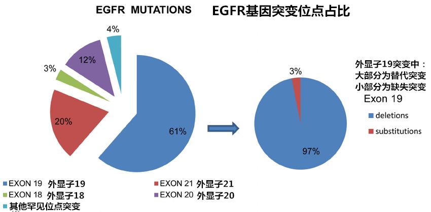 肺癌靶向药易瑞沙,肺癌靶向药易瑞沙价格多少