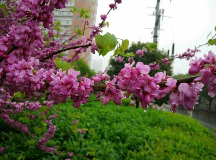 80后斜杠青年装修爆改姑苏民居找寻属于他的诗和远方