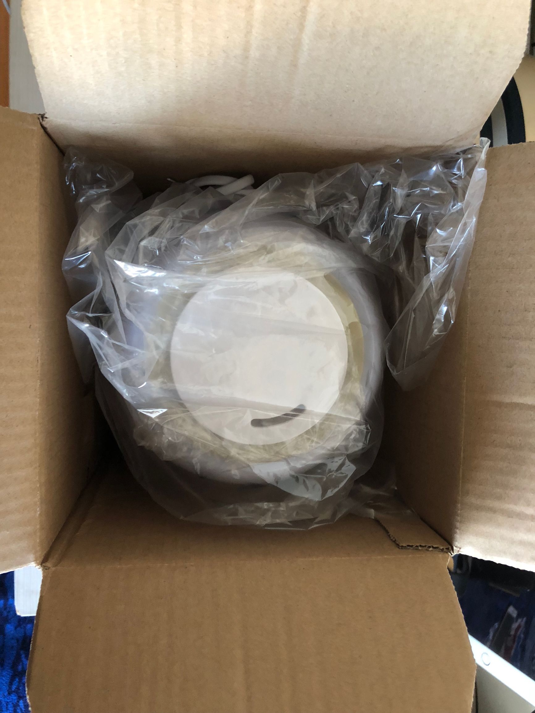 开箱小熊软木板,开箱小熊柏香