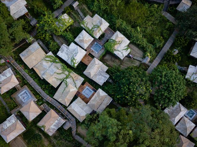 空山有灵,漫步阡陌