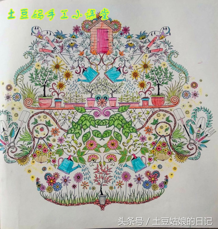 玩秘密花园涂色本,秘密花园涂色本可爱