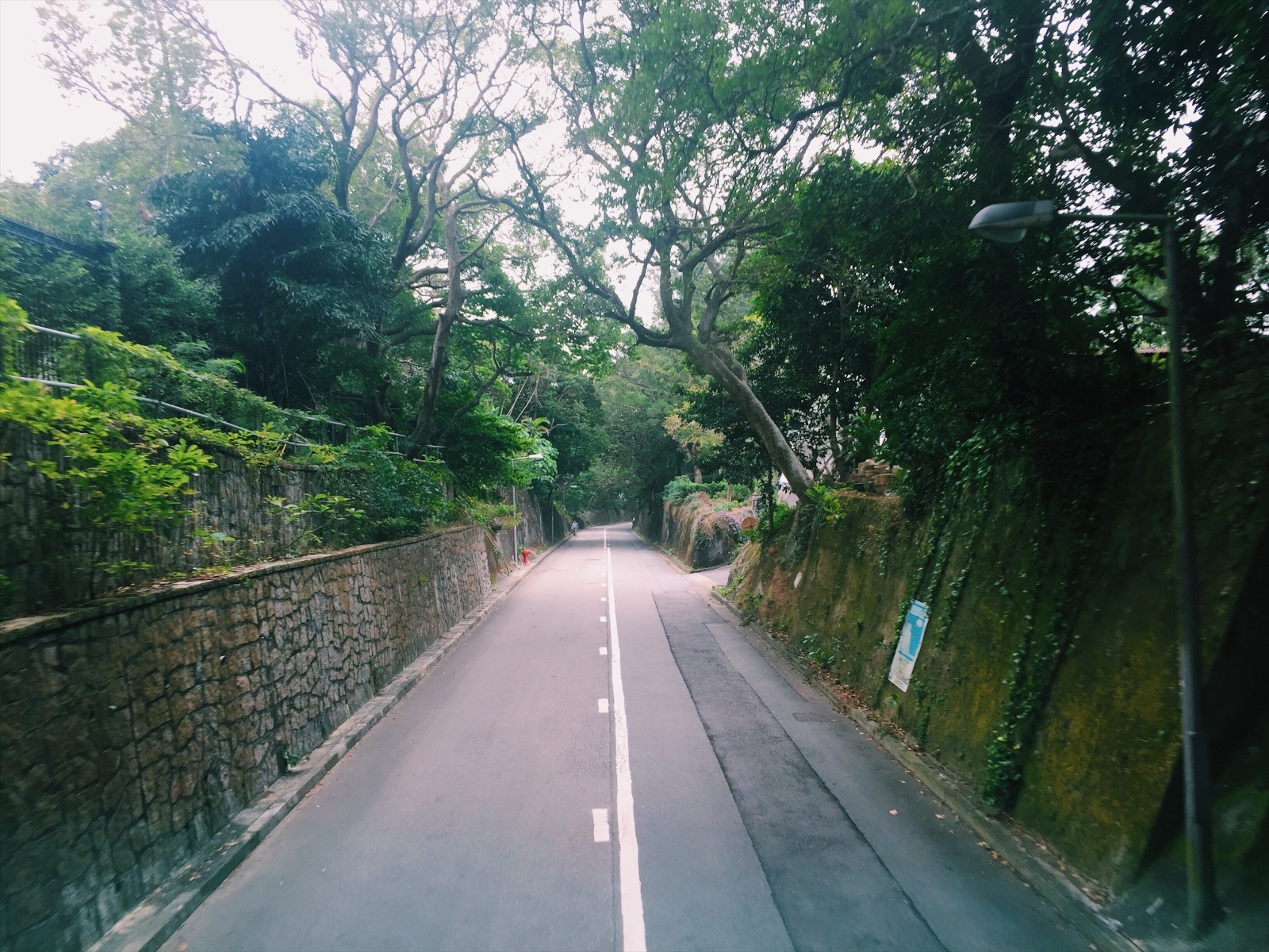 VA踩点|我养你啊