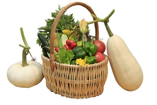 为什么要吃有机的,为什么要吃有机蔬菜