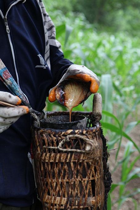 装修设计涂料,家居设计导读