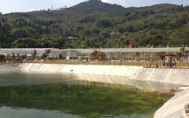 周末野钓好去处,重庆高山避暑垂钓