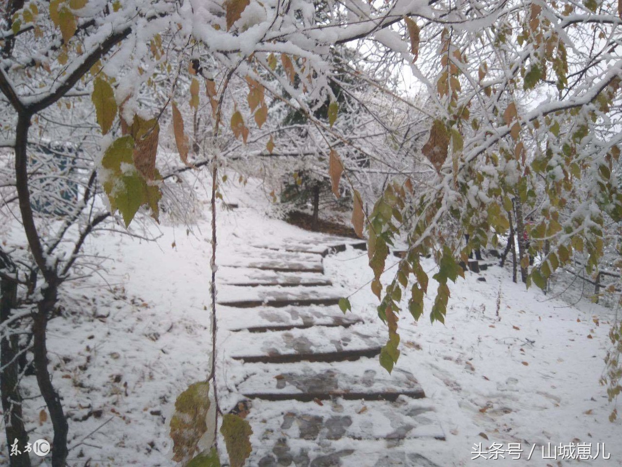 京a车牌代表什么省份地区,每个省份的车牌字母代表哪个地方