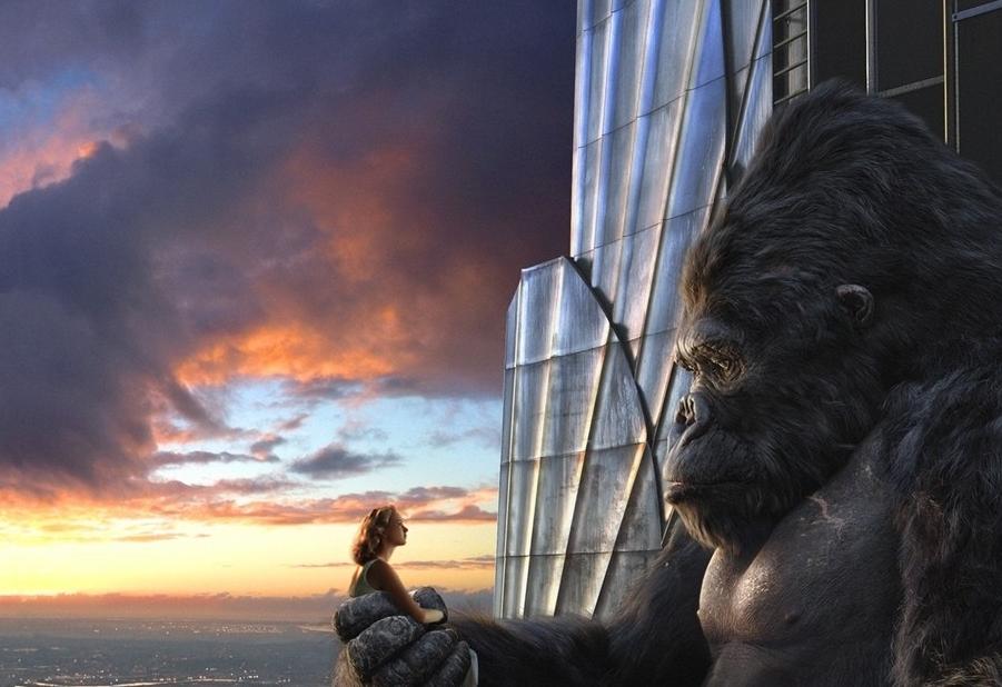 电影变形金刚画面影评,电影金刚2005影评