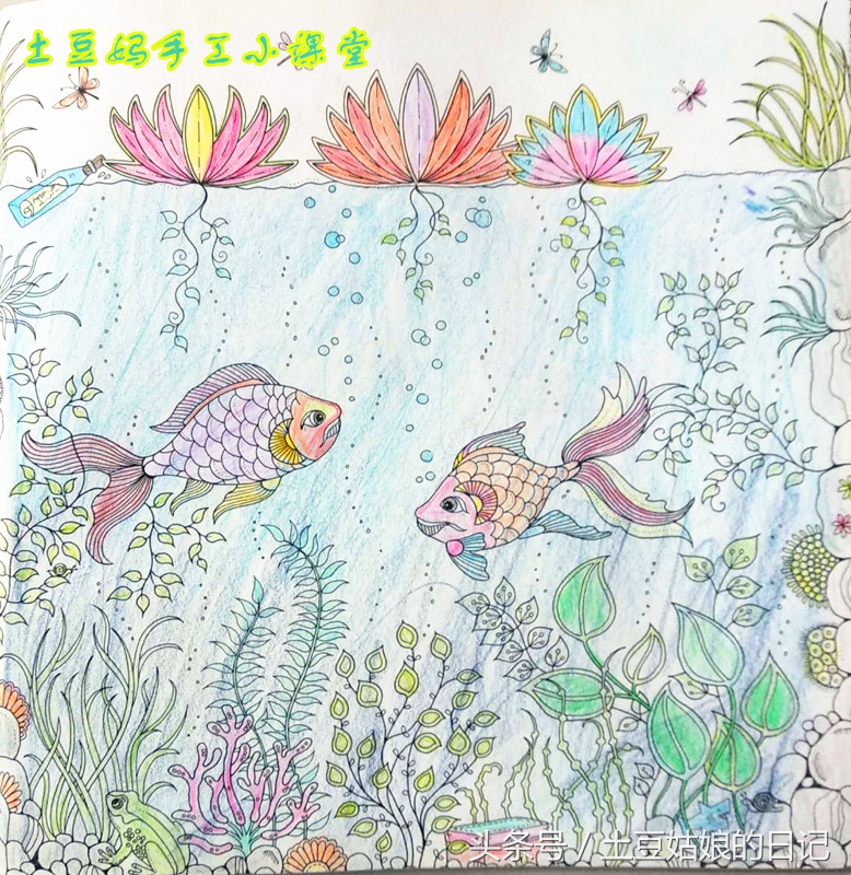 玩秘密花园涂色本,秘密花园涂色本可爱