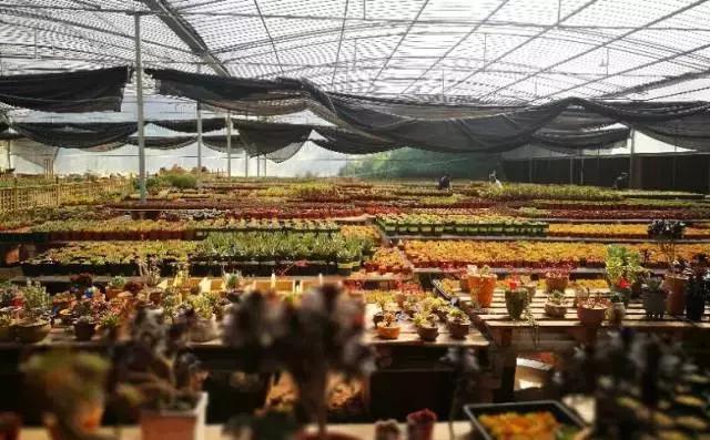 周末野钓好去处,重庆高山避暑垂钓