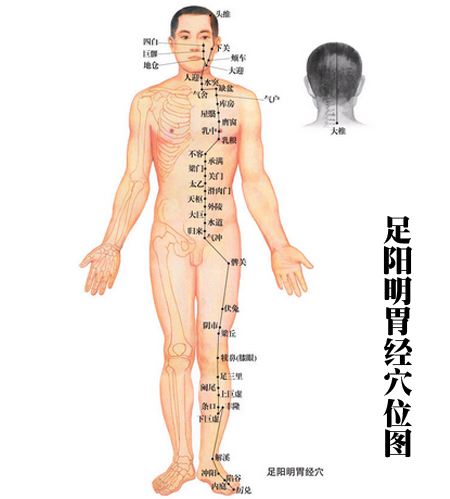 全身瘦按摩手法,全身瘦身穴位图解