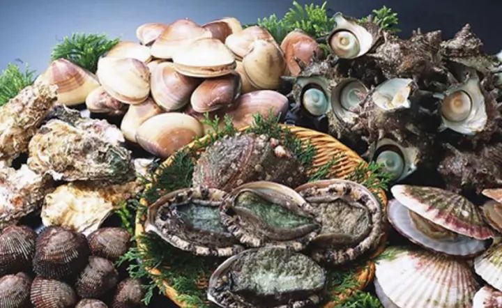 特禀质过敏体质,特禀体质是什么症状