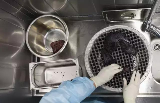 世界顶级鱼子酱多少钱一克,顶级鱼子酱一盎司多少钱