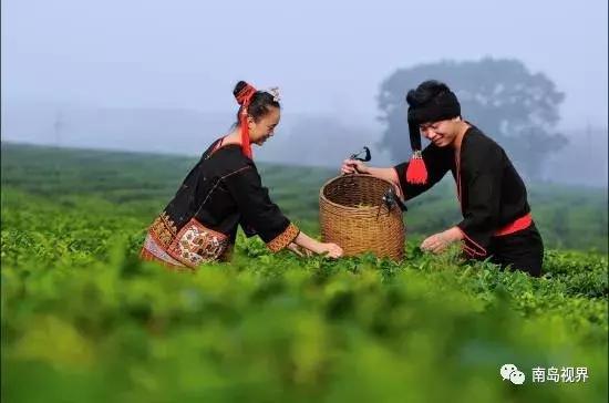 还在纠结送什么礼物吗,海南十大特色伴手礼