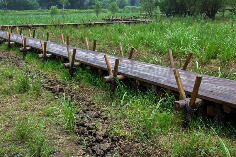 长兴有多美之图影生态湿地文化园,是典型的湖泊形湿地