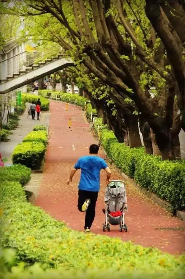 深圳十大打工美女排名表,深圳第一美女简历