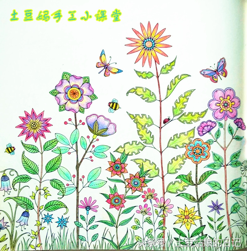 玩秘密花园涂色本,秘密花园涂色本可爱