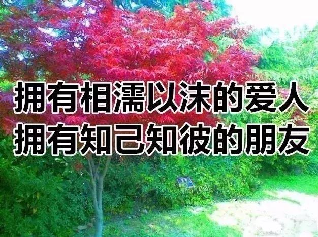我的相册视频,十寸相册