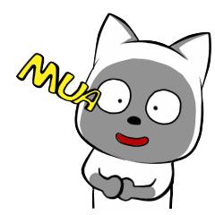 给猫咪洗澡要注意哪些,喵星人洗澡的正确方法