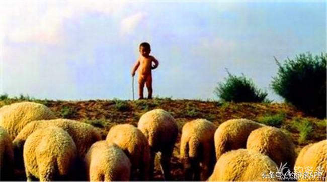 钓叟张演义第二回钓具DIY：擒黄颡首战告捷，失白翘再钓铩羽