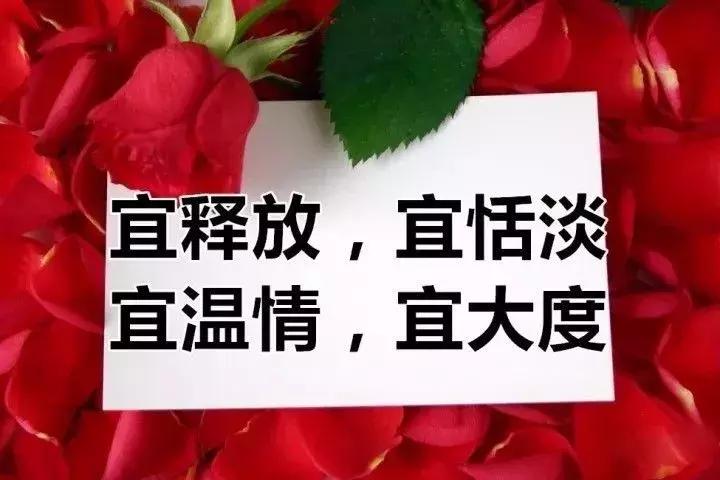 我的相册视频,十寸相册