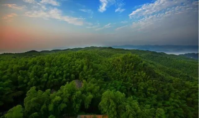 成都有什么好玩的东西,成都到底有多好玩