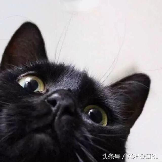 长期穿瘦腿袜会瘦腿吗,瘦腿袜真的可以瘦腿吗