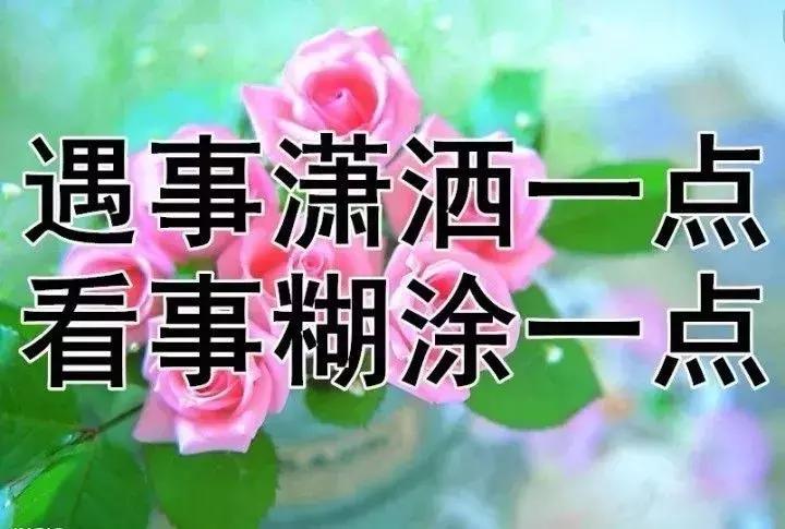 我的相册视频,十寸相册