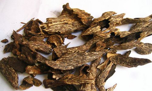 沉香木跟沉香的区别是什么,沉香木与沉香的区别在哪里