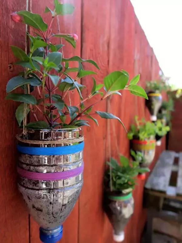 小瓶子手工制作小东西养花,省钱10大养花神器1个塑料瓶做出来