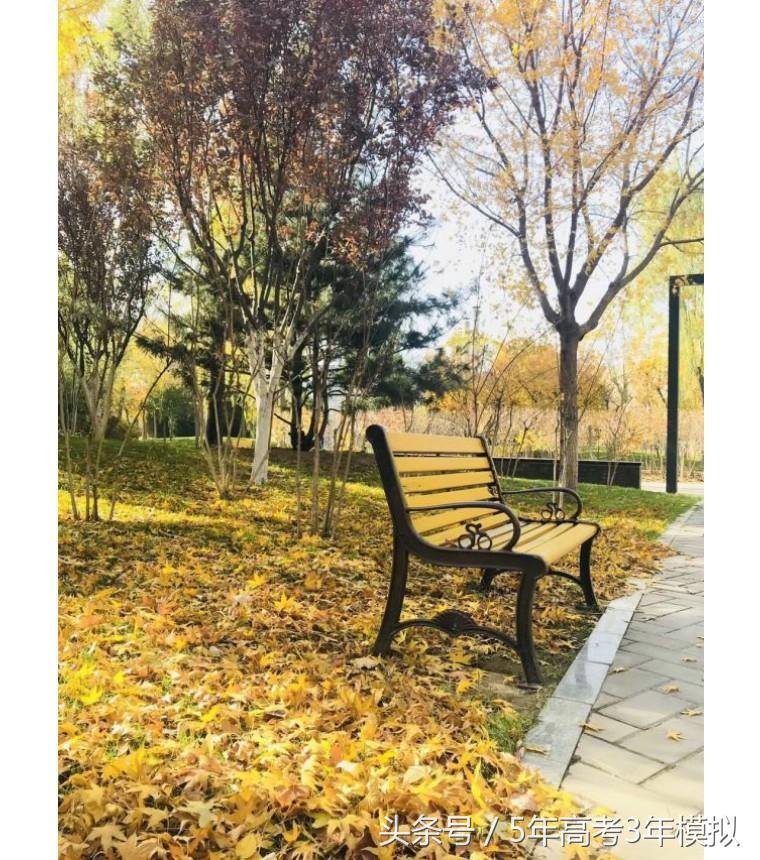 中央财经大学全国排名,最好就业的全国财经大学排名