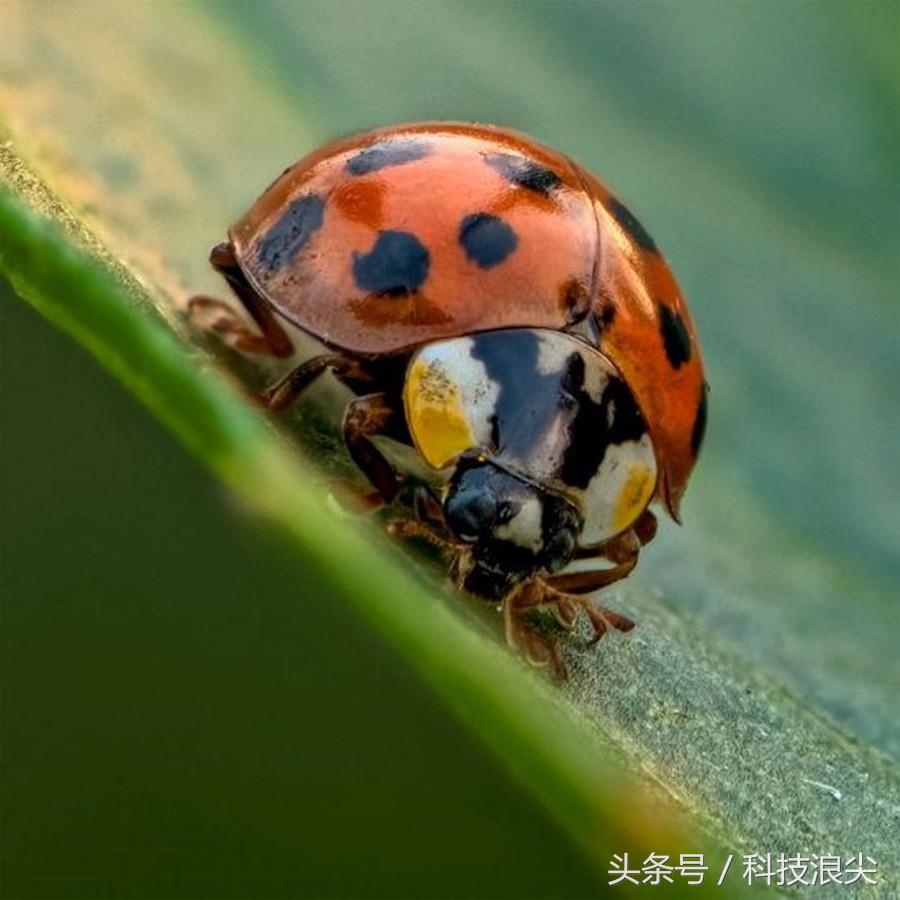 尼康D850测评,尼康d850测试