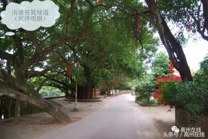 高州南塘镇谷篢,高州市南塘谷篢村