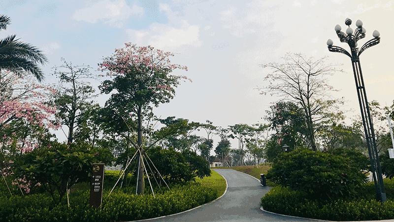 深圳宝安区跑步最佳地点,深圳跑步圣地在什么地方