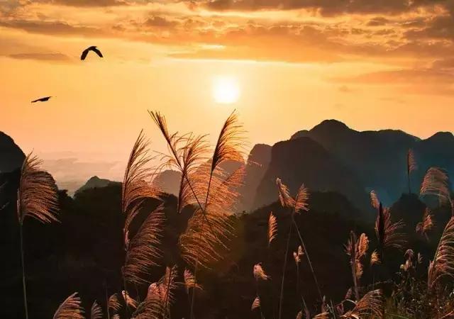 浙江省尖子生分数,浙江百强县有多富