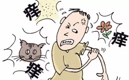 又过敏,又过敏了