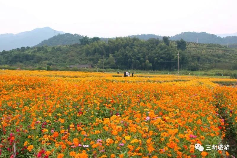 厦沙复线三明段,最新厦沙高速全线通车