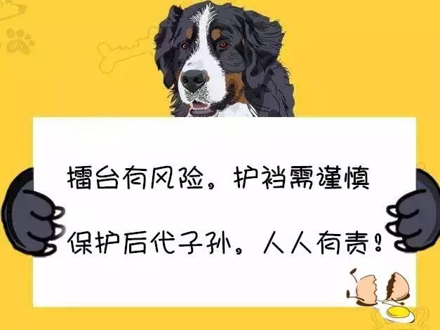 擂台被踢裆的选手,盘点擂台上被人羞辱的人