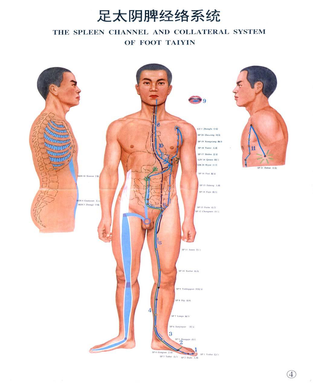 易筋经李伟版,易筋经李伟完整版视频