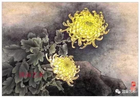 工笔菊花画法步骤示范,工笔菊花设色步骤