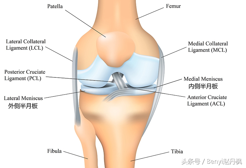 膝关节疼痛如何预防和干预,膝盖常见伤病症状