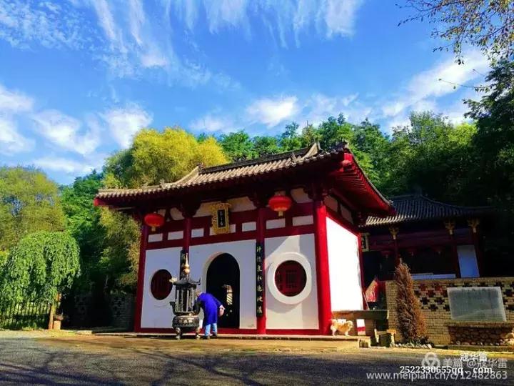 中国天然氧吧为什么是永寿,永寿槐林氧吧