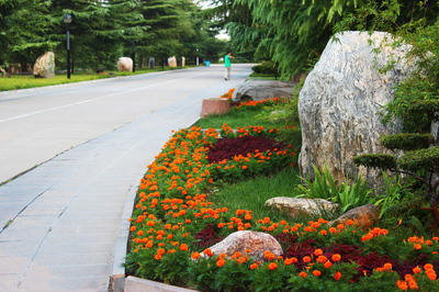 2021鹿邑主城区改造,鹿邑最新城建规划