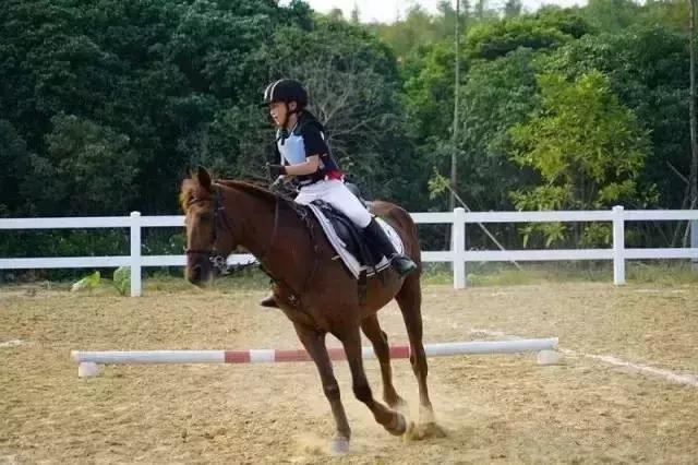 武汉适合带小孩玩的主题乐园,武汉适合户外儿童游乐