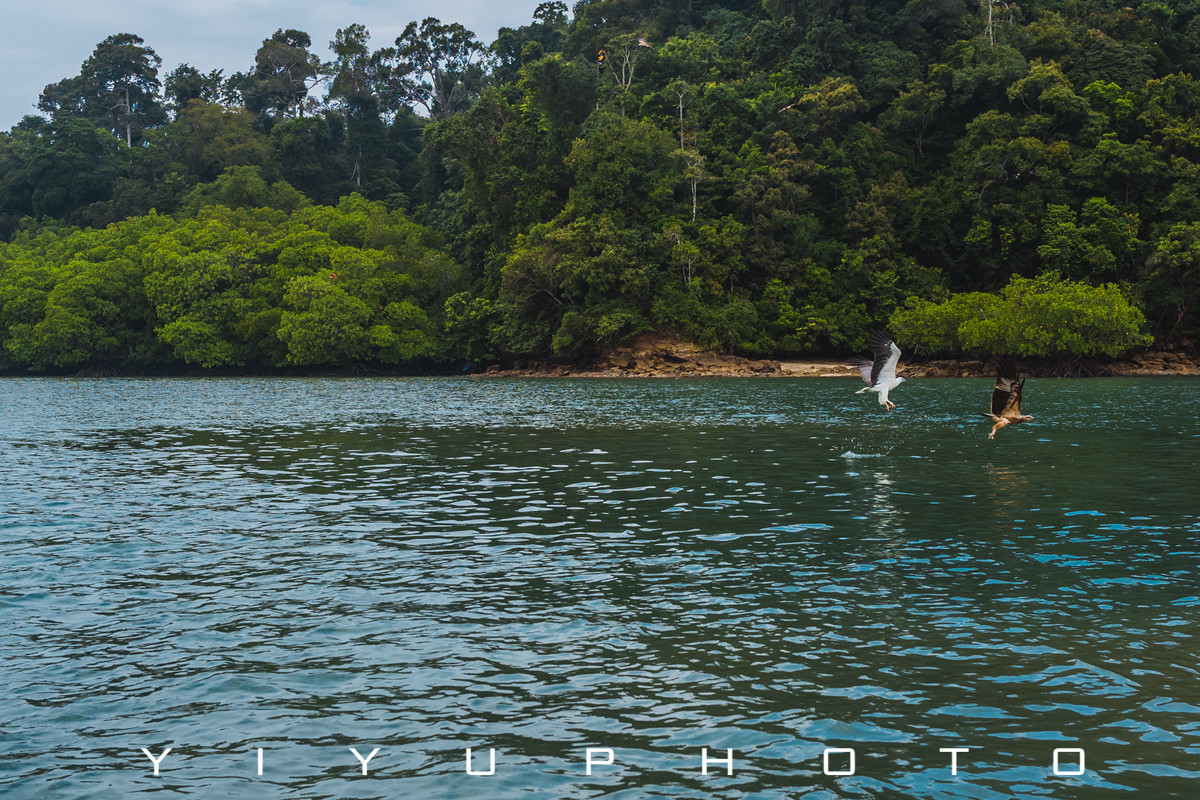 悠游一夏,马来西亚——六日自由行攻略