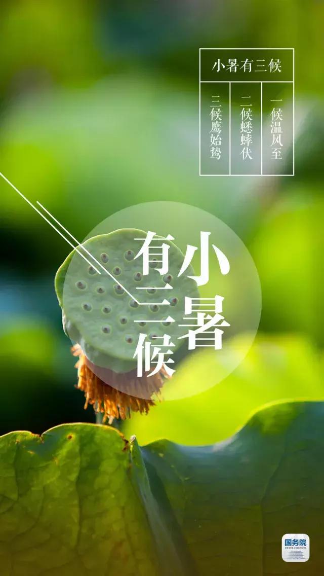 一张图上包含二十四节气壁纸,高清中国插画二十四节气壁纸